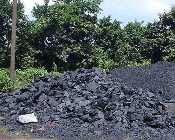 TNP SPECIAL: झारखंड में शेल कंपनियों का बढ़ता खेल, कई "मगरमच्छ" पर भी बढ़ सकता है खतरा, देखिए ये रिपोर्ट  