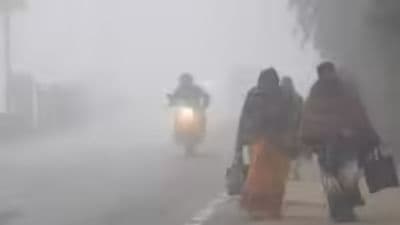 Bihar Weather: बिहार में ठंड का कहर, पछुआ हवा से हाल बेहाल, पढ़ें अगले 5 दिनों के मौसम का हाल