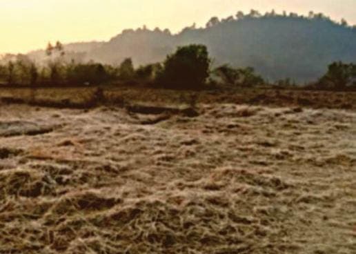 Weather Alert: झारखंड में सूर्य के दर्शन भी हुए दुर्लभ! बर्फीली हवा से बढ़ रही है लोगों की परेशानी, पढ़े आज का हाल