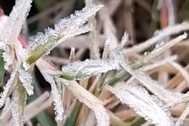 Weather Alert: माइनस 1.5 पहुंचा मैक्लूसकीगंज का पारा, घरों में कैद हुए लोग, रांची में दिख रहा कश्मीर जैसा नजारा