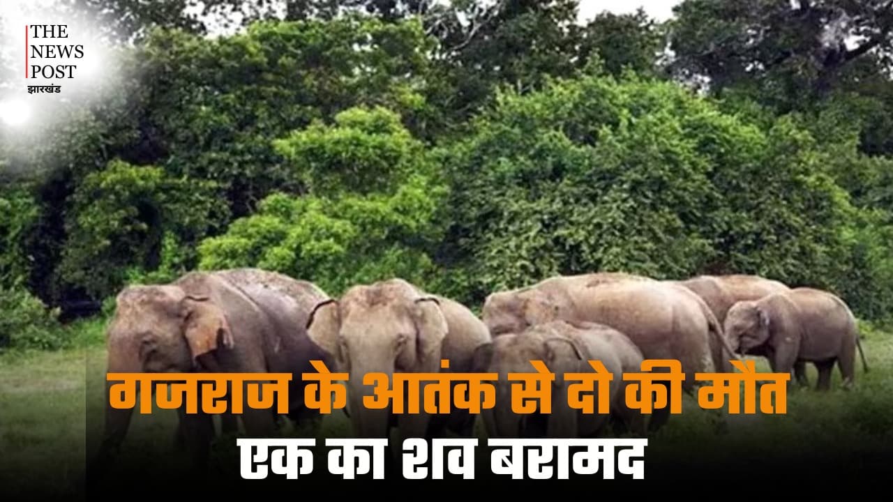 गजराज के आतंक से दो की मौत, एक का शव बरामद