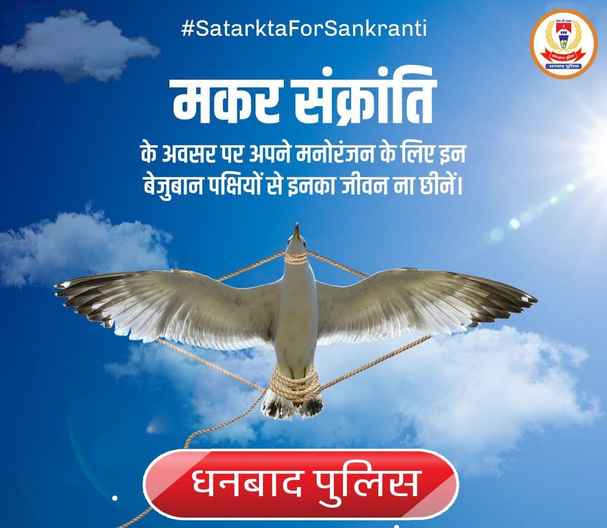 खबरदार : मकर संक्रांति पर अगर चाइनीज मांझा से पतंगबाजी की तो धमक जाएगी पुलिस,फिर आगे .....