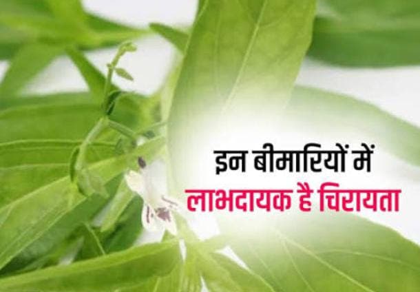 खून को फिल्टर करता है सड़क पर बिकनेवाला ये सस्ता जड़ी बूटी, इन गंभीर बिमारियों से भी मिलता है निजात