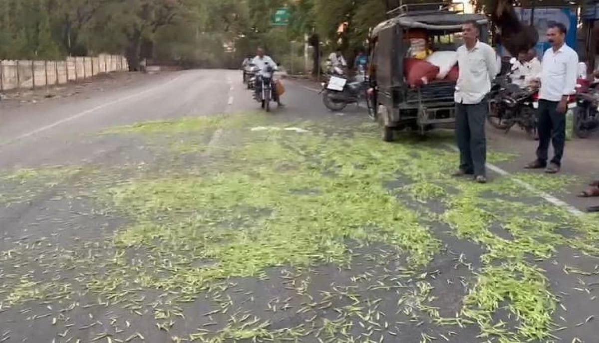 “एक रुपये किलो में बिक रहा ग्वार!" गुस्से से उबल पड़े किसान ने सड़क पर फेंकी पूरी फसल