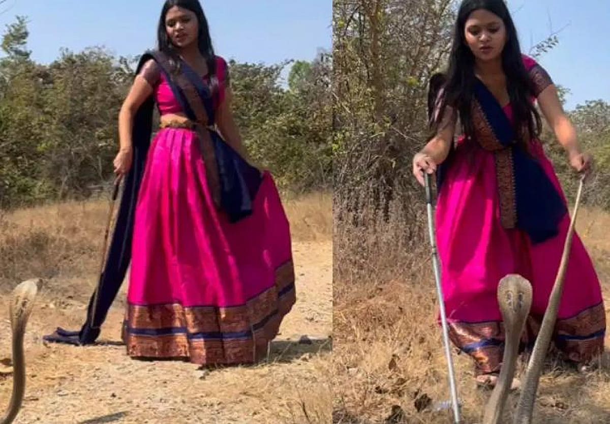फुल मेकअप कर कोबरा के पास रील बनाने पहुंची लड़की, फिर जो हुआ देखकर मुंह को आ जाएगा कलेजा