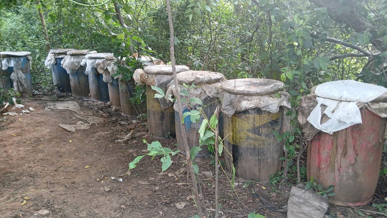 पूर्वी सिंहभूम में अवैध शराब के खिलाफ बड़ी कार्रवाई, 300 लीटर शराब बरामद और 6 भट्ठियां ध्वस्त