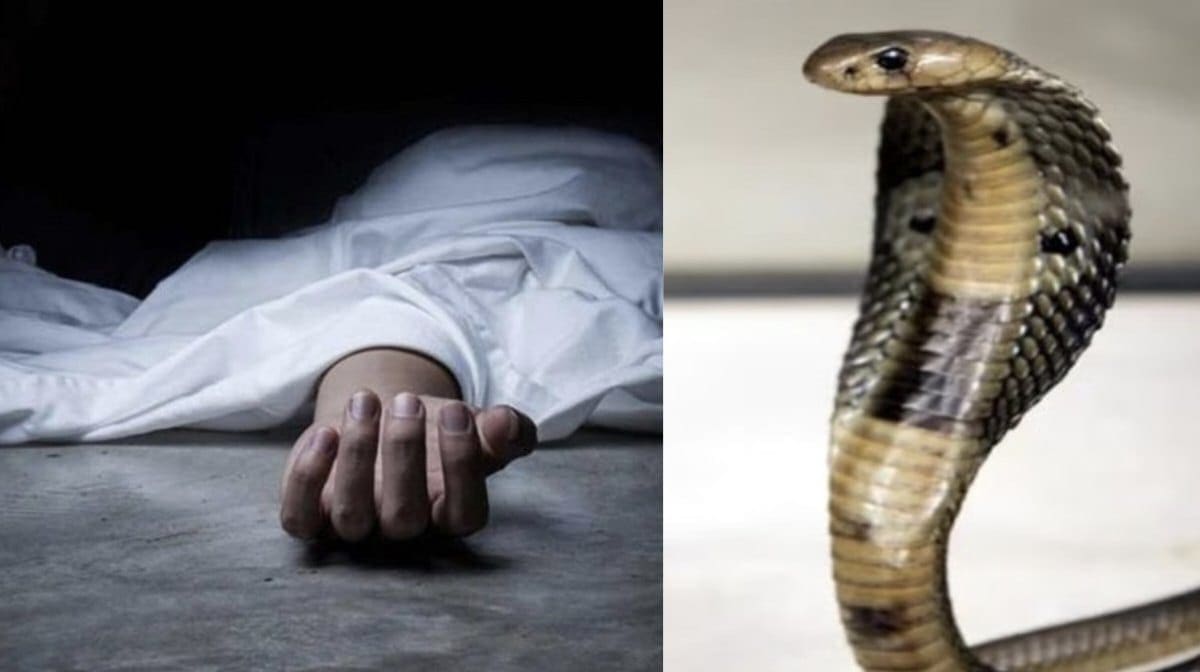 रांची में जहरीले सांप के डंसने से पिता-पुत्र की मौत, झाड़-फूंक के कारण इलाज में हुई देरी
