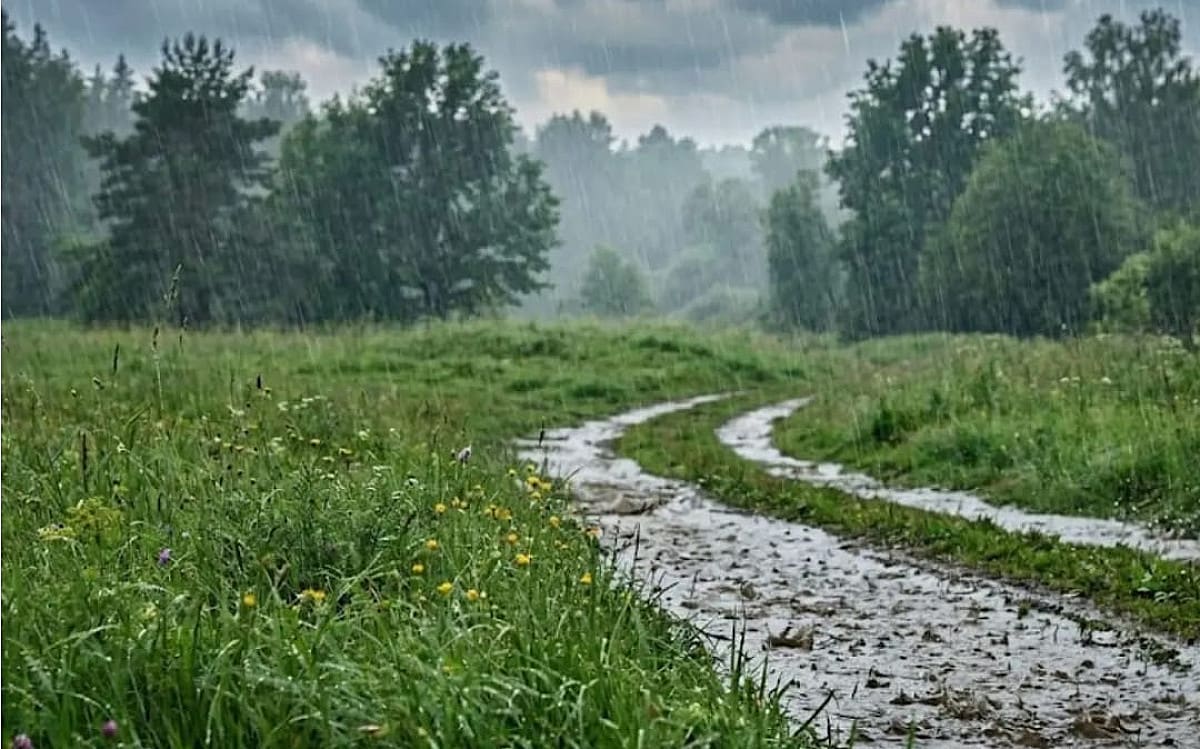 Weather Alert:झारखंड में मानसून की दस्तक से पहले मौसम मेहरबान, आज इन जिलों में बारिश, वज्रपात का अलर्ट
