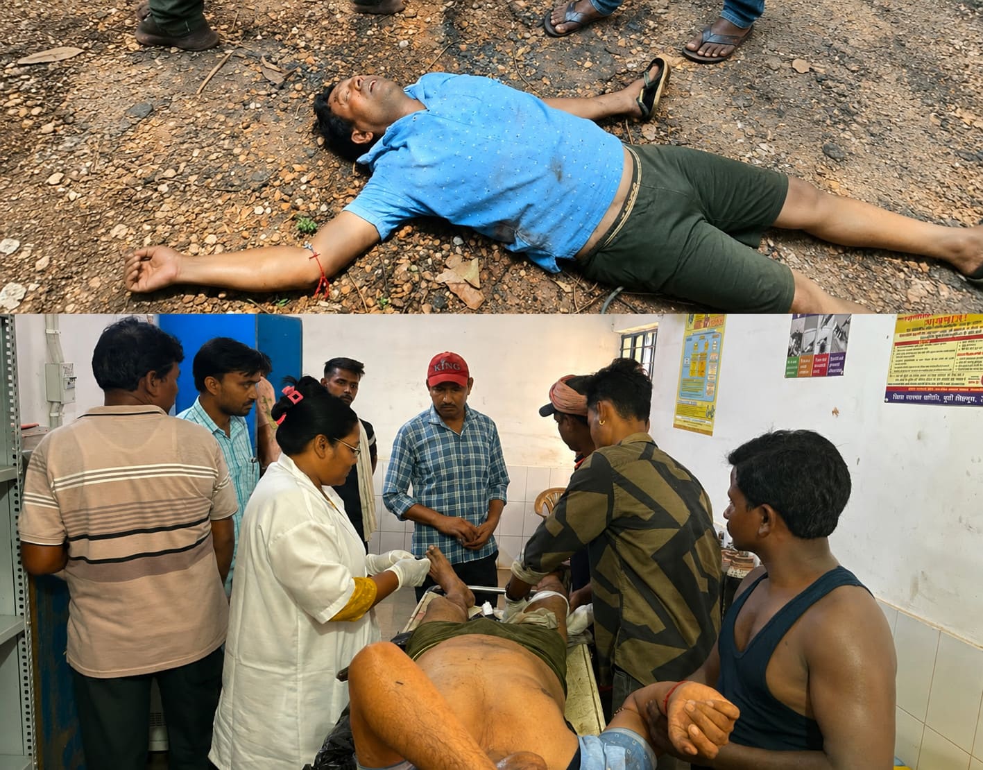 पूर्वी सिंहभूम जिले में हाथियों का कहर, चाकुलिया में रेल कर्मी को किया घायल
