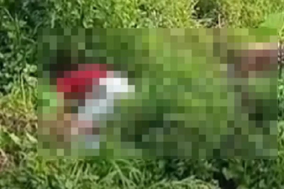रामगढ़ में खेत से दो युवकों के शव का शव बरामद, हादसा या साजिश, जांच में जुटी पुलिस