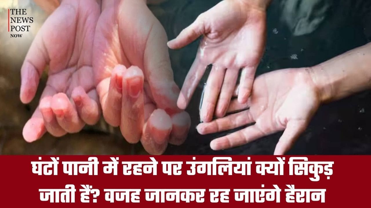 घंटों पानी में रहने पर उंगलियां क्यों सिकुड़ जाती हैं? वजह जानकर रह जाएंगे हैरान