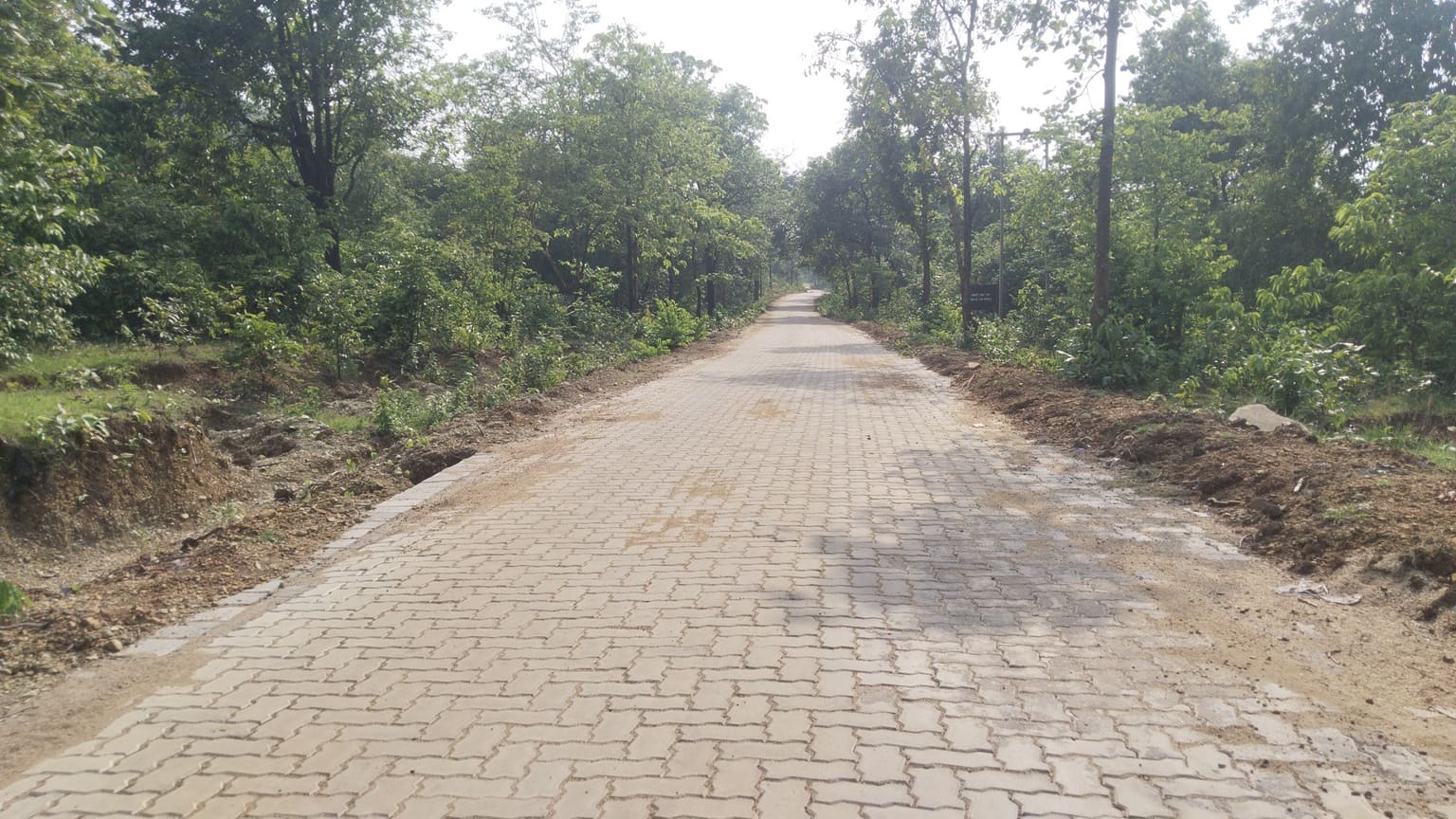 बारिश में भी अब दलमा की राह आसान, डेढ़ किमी सड़क पर बिछा पेवर्स ब्लॉक