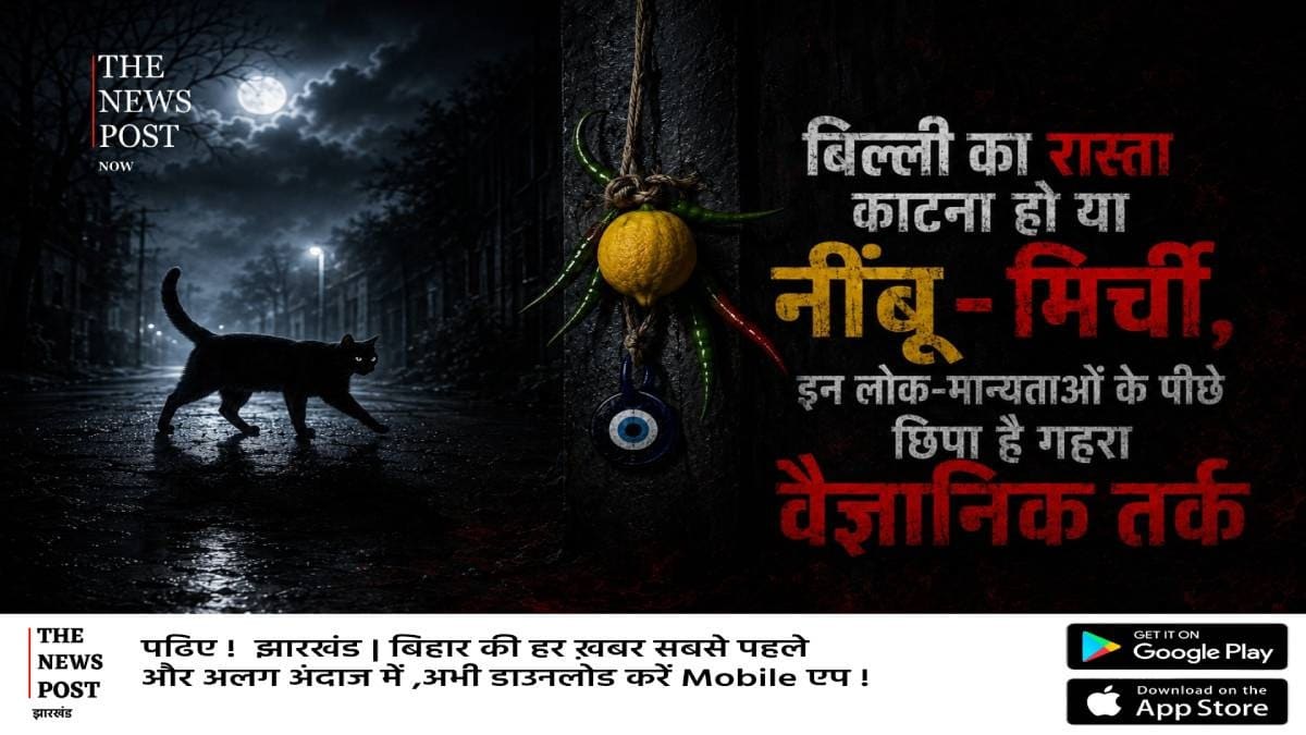 बिल्ली का रास्ता काटना हो या नींबू-मिर्ची, इन लोक-मान्यताओं के पीछे छिपा है गहरा वैज्ञानिक तर्क