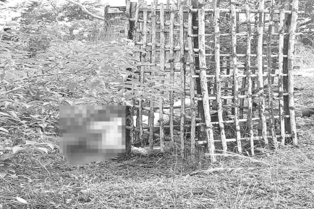 जामताड़ा में झाड़ियों से मिला अज्ञात व्यक्ति का शव, इलाके में फैली सनसनी
