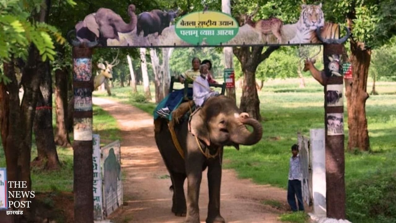 1 जुलाई से तीन महीने तक नहीं होगी बेतला सफारी, पर्यटकों के लिए बंद रहेगा नेशनल पार्क, जानिए क्या है वजह