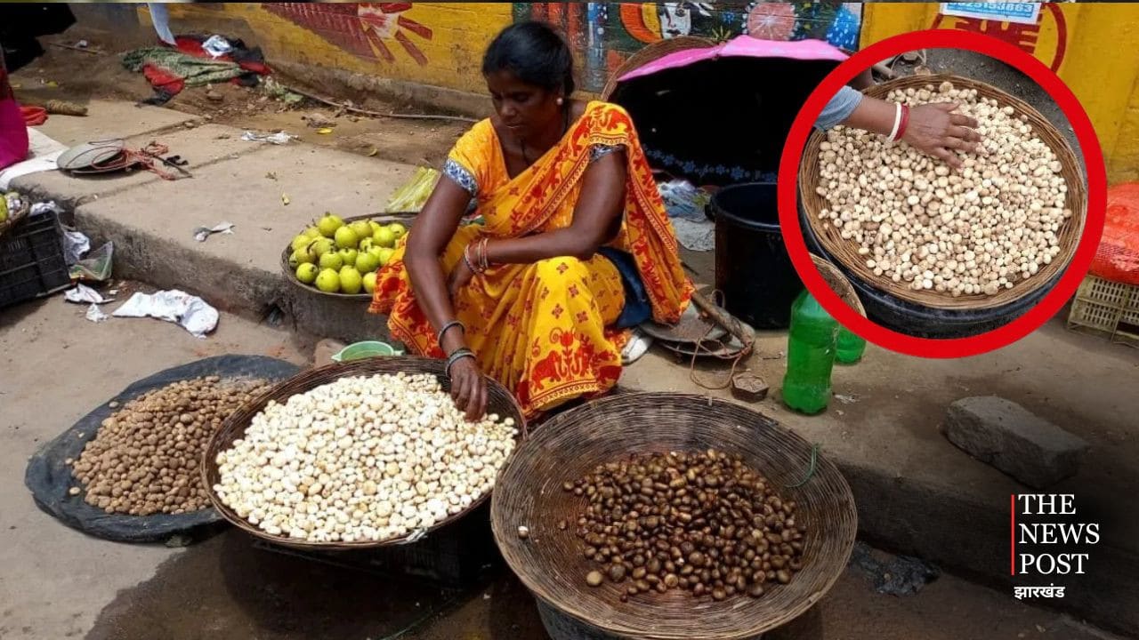 साल में सिर्फ 2 महीने मिलती है झारखंड की ये खास सब्जी, स्वाद ऐसा कि भूल जाएंगे मटन, ये रही रुगड़ा की रेसिपी