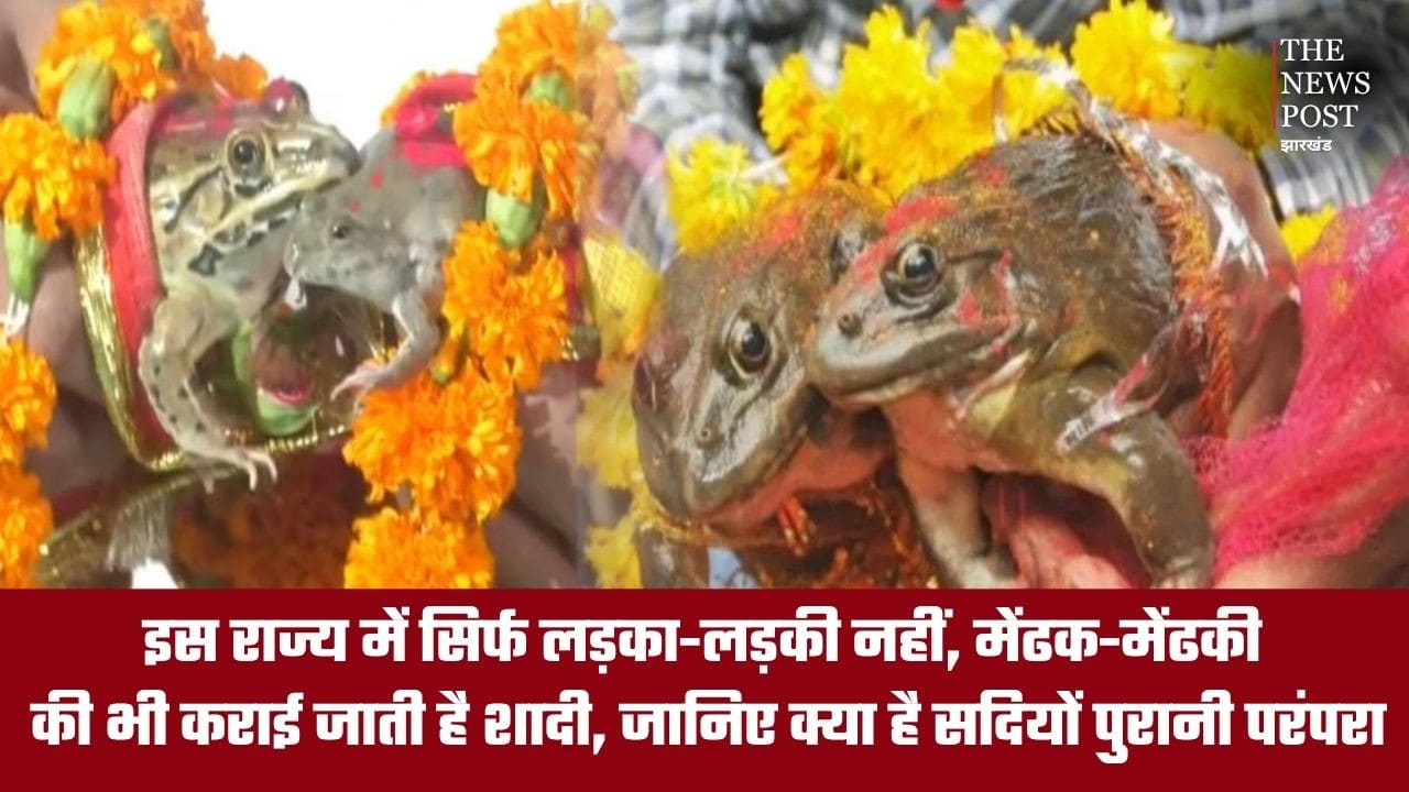 इन राज्य में सिर्फ लड़का-लड़की नहीं, मेंढक-मेंढकी की भी कराई जाती है शादी, जानिए क्या है सदियों पुरानी परंपरा