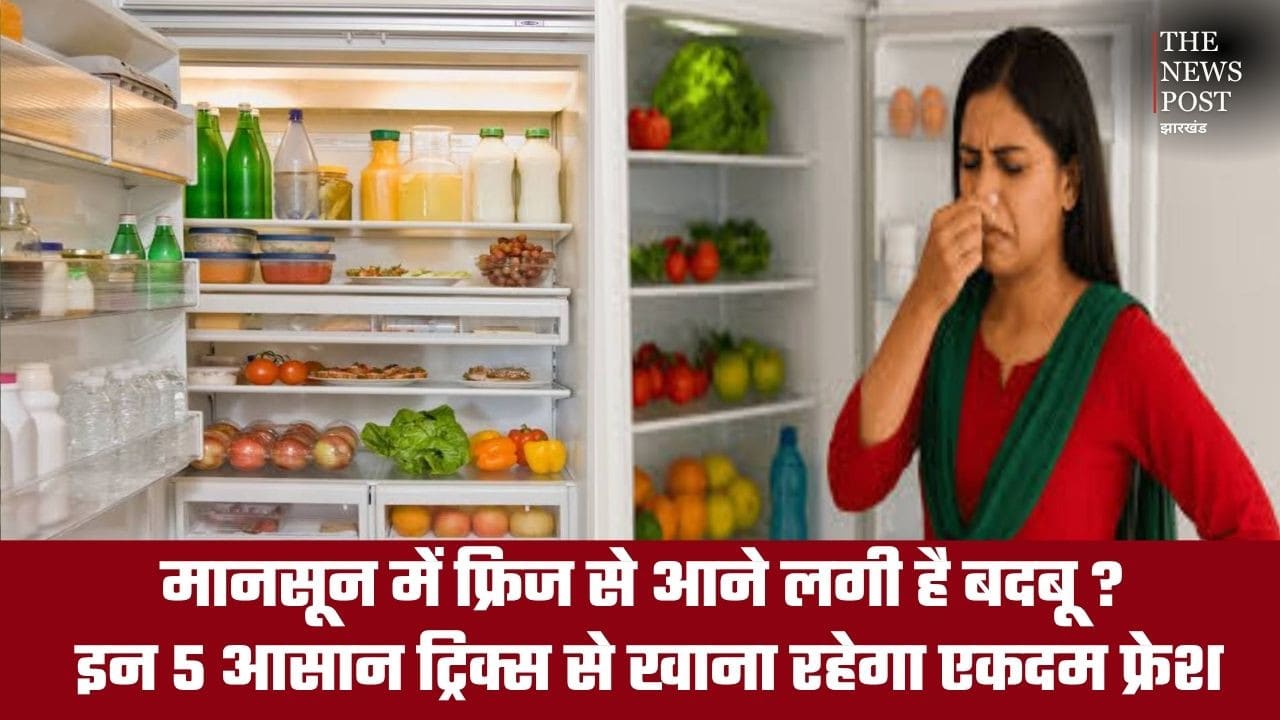 मानसून में फ्रिज से आने लगी है बदबू? जानिए 5 आसान ट्रिक्स, जिससे खाना रहेगा एकदम फ्रेश