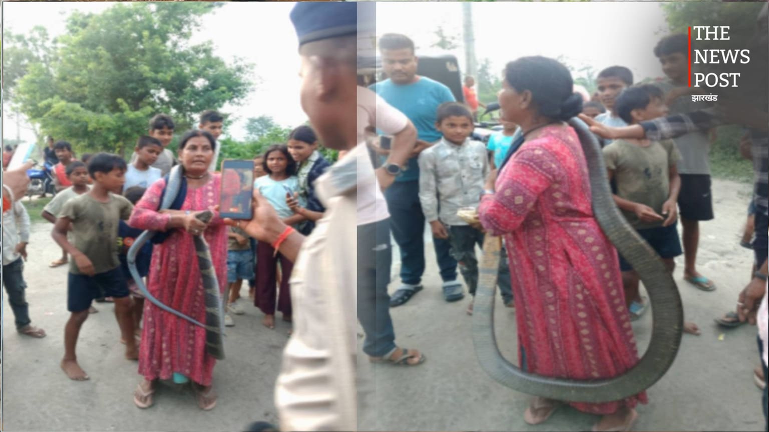 घर में घुसा 10 फीट लंबा कोबरा, महिला रेस्क्यूअर ने सुरक्षित पकड़कर जंगल में छोड़ा, जानिए कहां का है मामला