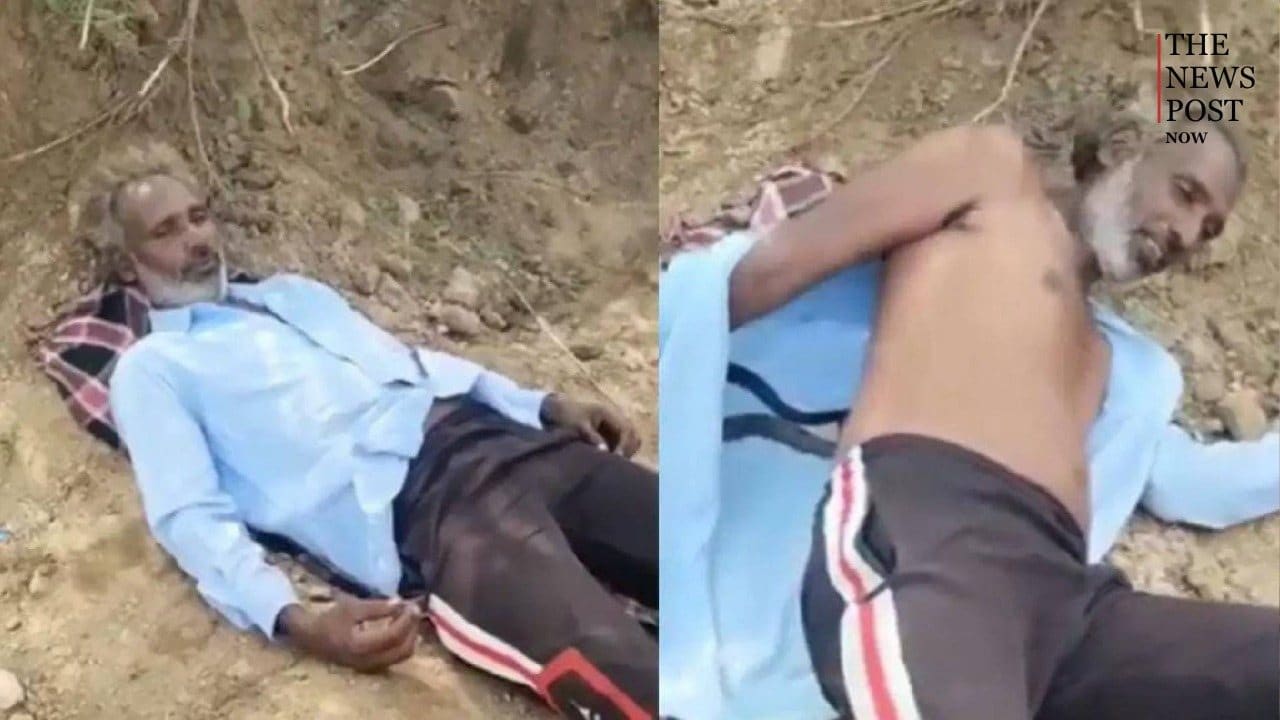 कोबरा है भैया... खेत में सो रहे किसान की शर्ट में घुस गया जहरीला सांप, फिर जो हुआ उसे देख रुक जाएंगी सांसें