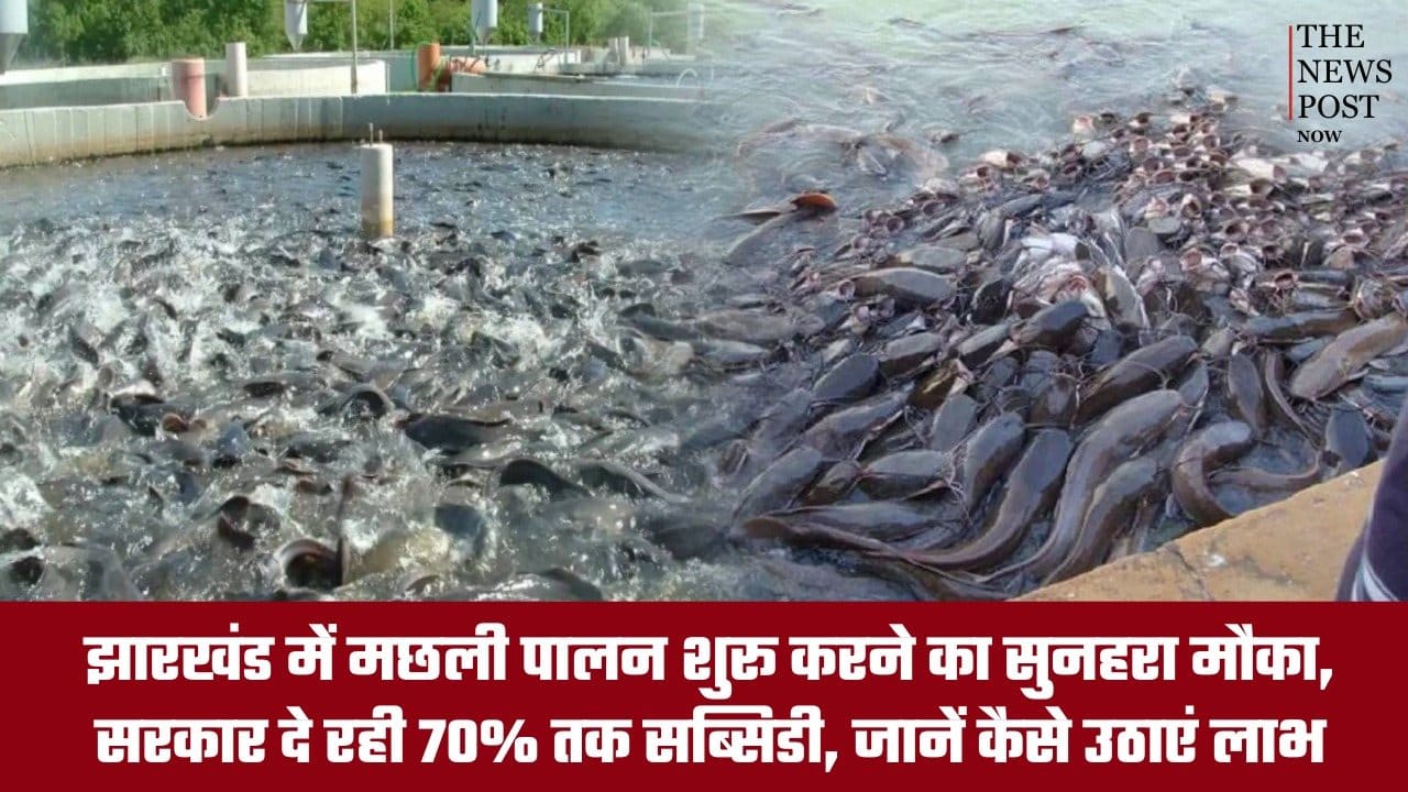 झारखंड में मछली पालन शुरू करने का सुनहरा मौका, सरकार दे रही 70% तक सब्सिडी, जानें कैसे उठाएं लाभ