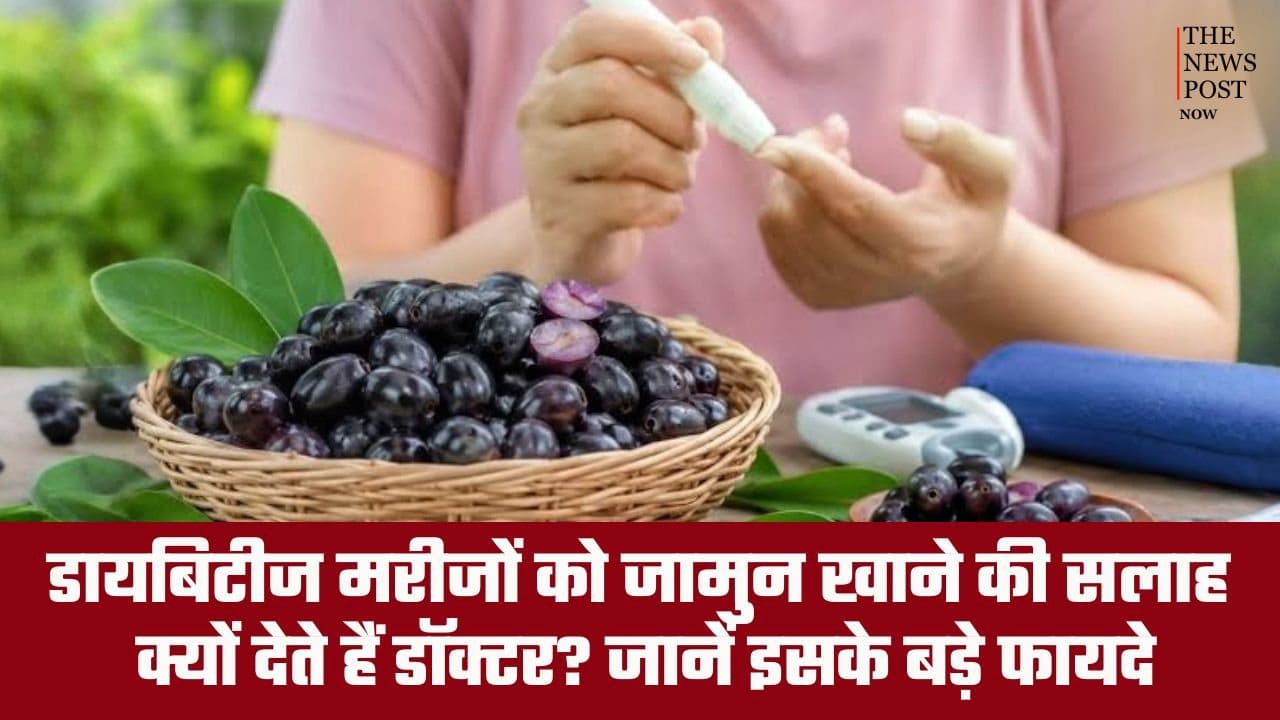 डायबिटीज मरीजों को जामुन खाने की सलाह क्यों देते हैं डॉक्टर? जानें इसके बड़े फायदे