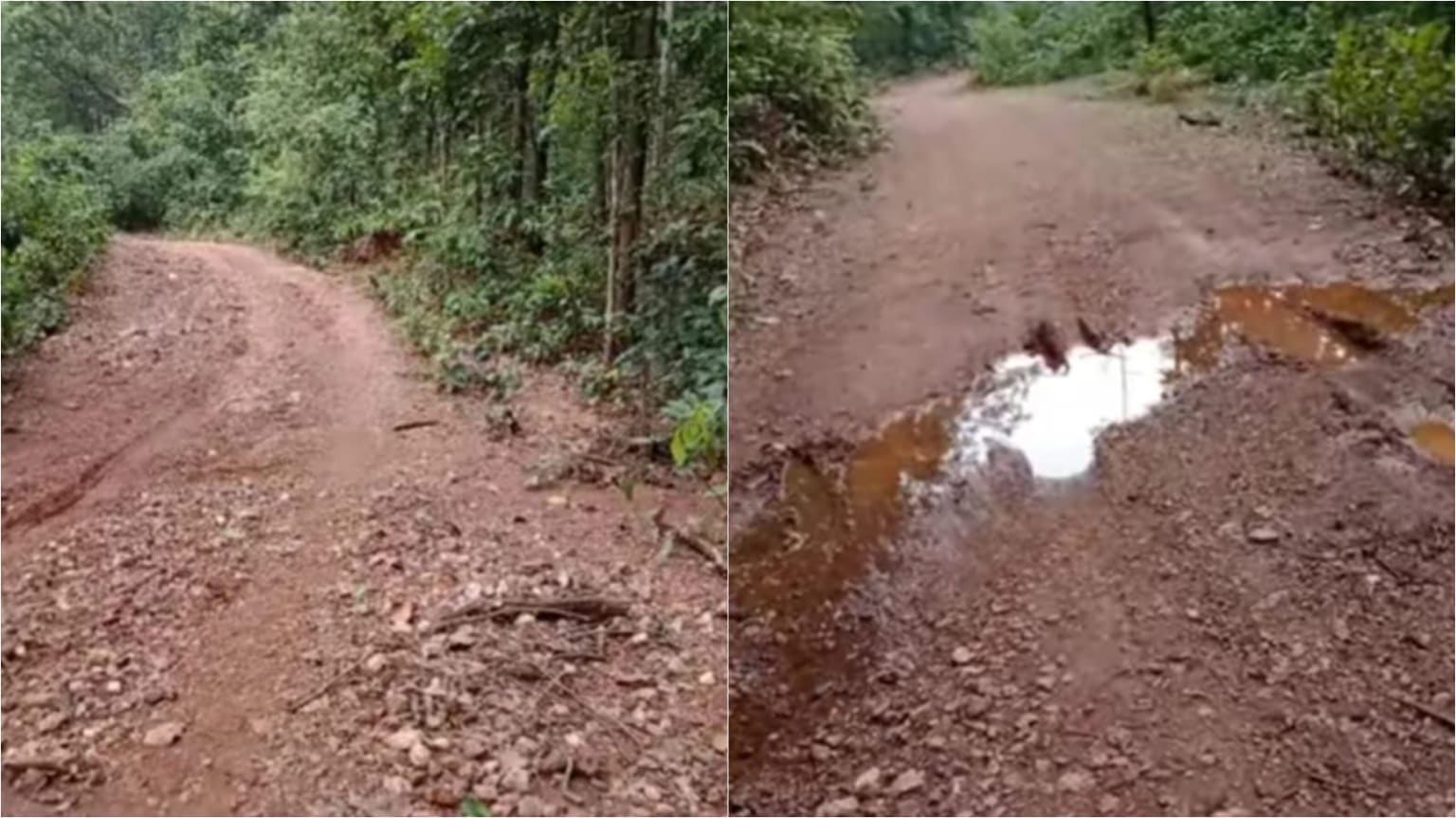 चाईबासा: 110 साल पुराने बालिबा गांव को आज भी सड़क का इंतजार, आजादी के 78 साल बाद भी 7 किमी कच्चे रास्ते पर निर्भर ग्रामीण