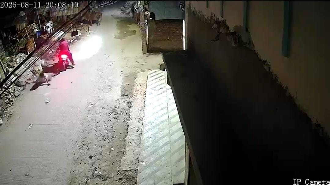 पटना में अपराधी बेखौफ, बीच सड़क युवक पर ताबड़तोड़ फायरिंग, देखिए घटना का Live Video