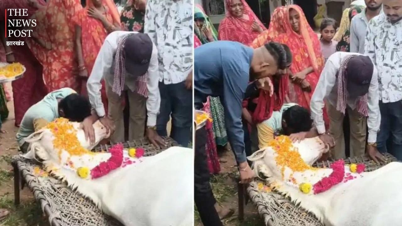 वो जानवर नहीं था....कभी बच्चे की तरह पाला, आज उसी लाडले घोड़े को अंतिम विदाई देते फफक पड़ा परिवार, देखिए