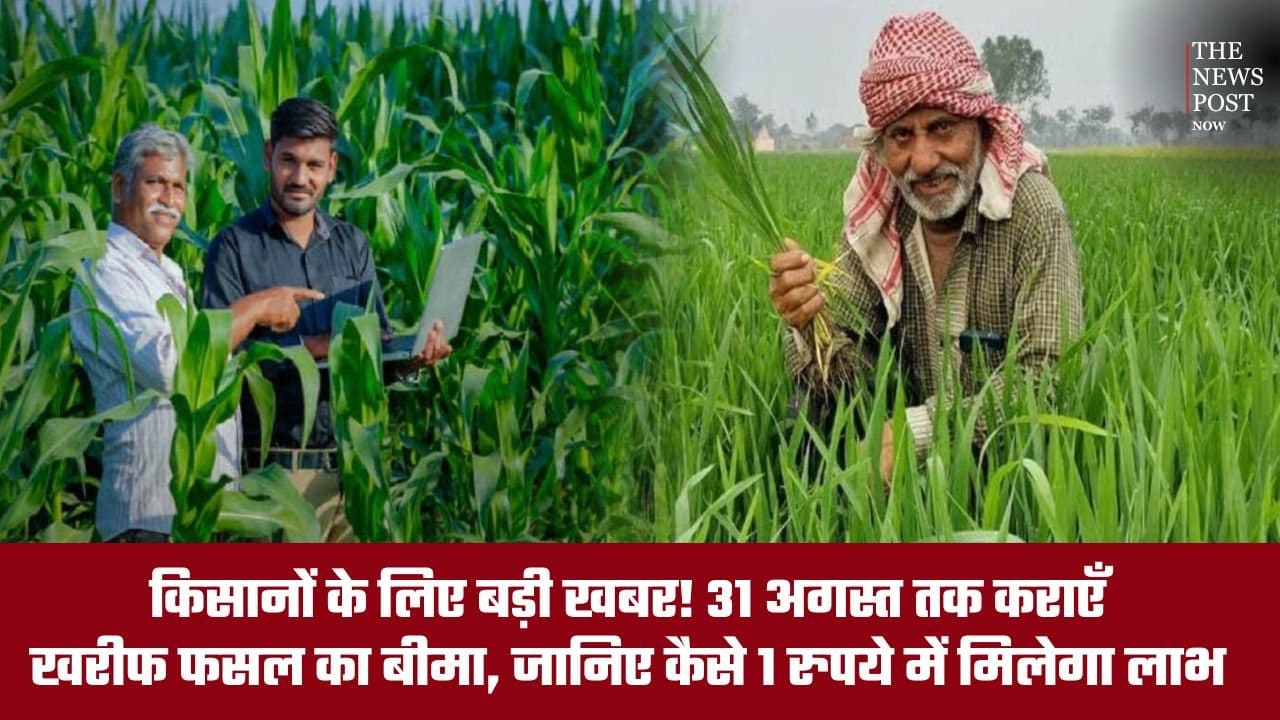 किसानों के लिए बड़ी खबर! 31 अगस्त तक काराएं खरीफ फसल का बीमा, जानिए कैसे 1 रुपये में मिलेगा लाभ