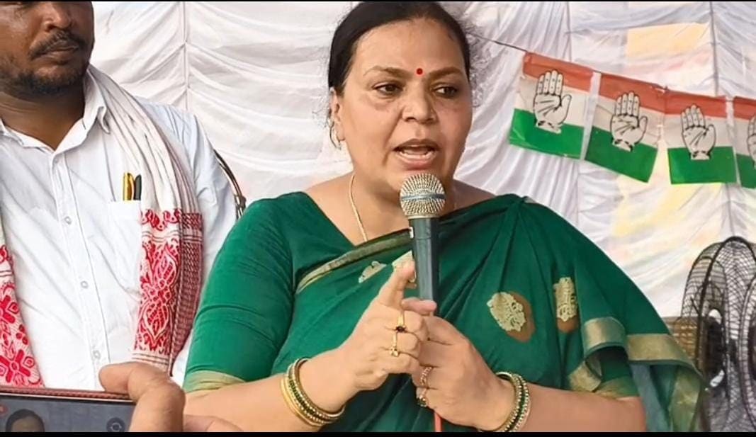 2029 में राहुल गांधी बनेंगे पीएम, निजीकरण की गई कंपनियों का होगा राष्ट्रीयकरण : दीपिका पांडेय सिंह