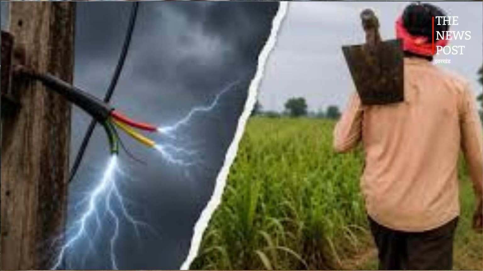 जमुई में खेत में गिरे बिजली तार की चपेट में आए बुजुर्ग किसान, करंट लगने से मौत