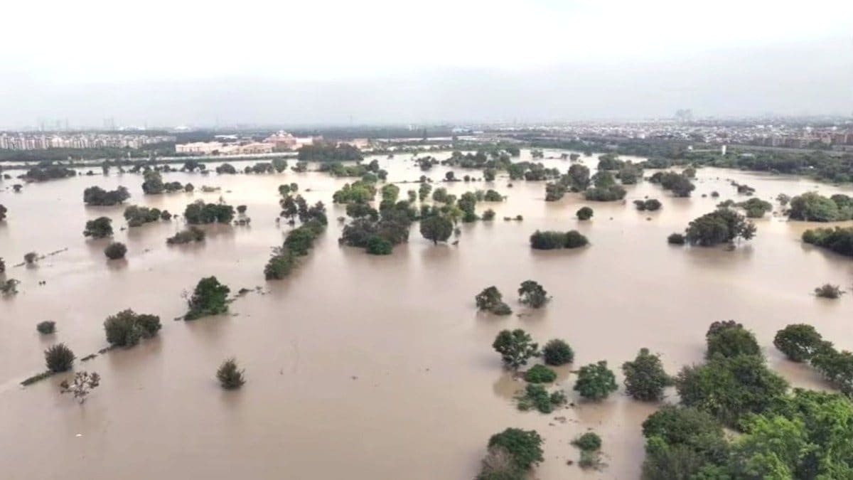 चाईबासा: चेकडैम में नहाने के दौरान तेज बहाव में बहा युवक, NDRF की तलाश जारी