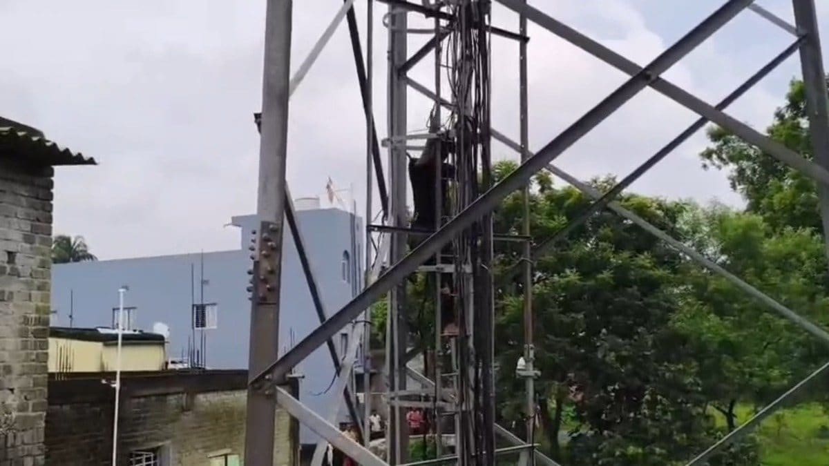 धनबाद में मोबाइल टावर पर चढ़ा युवक, विधायक जयराम महतो से बात की जिद पर घंटों हाईवोल्टेज ड्रामा