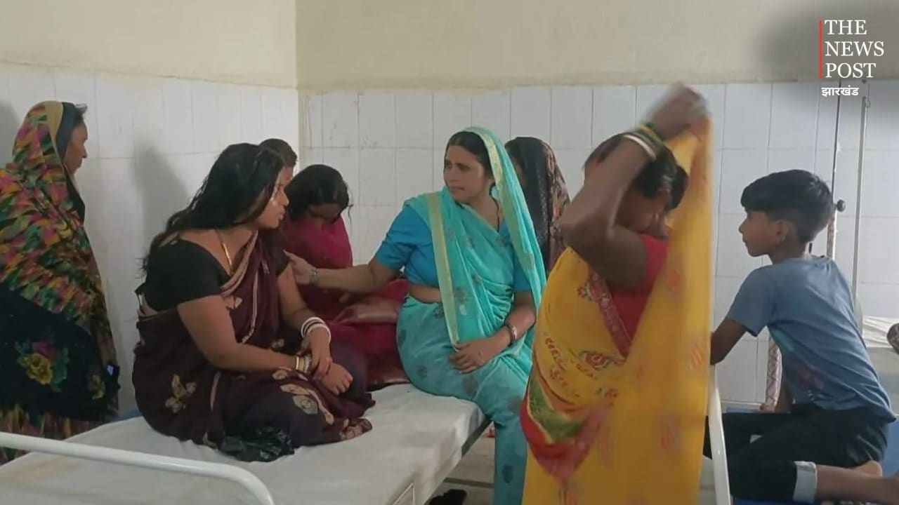 करम डाली विसर्जन के दौरान भंवरों का हमला, बच्चे-महिलाओं समेत एक दर्जन से अधिक घायल
