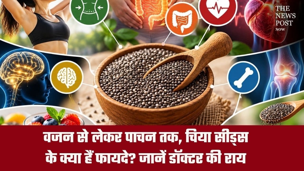 वजन से लेकर पाचन तक, चिया सीड्स के क्या हैं फायदे? जानें डॉक्टर की राय