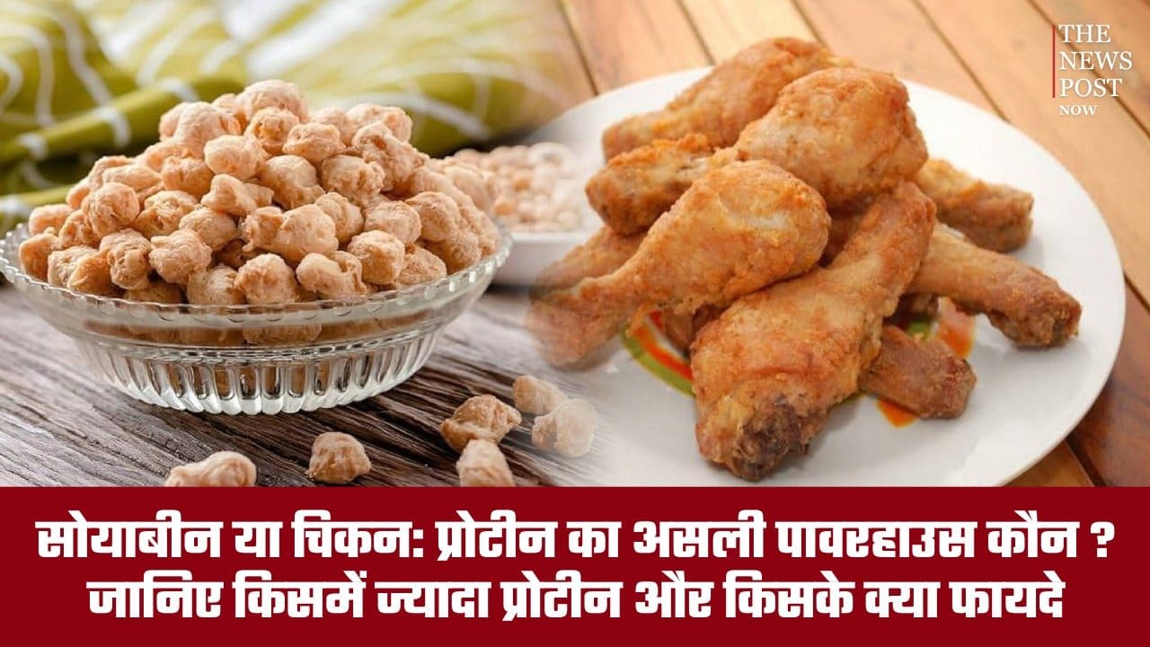 सोयाबीन या चिकन: प्रोटीन का असली पावरहाउस कौन? जानिए किसके क्या हैं फायदे