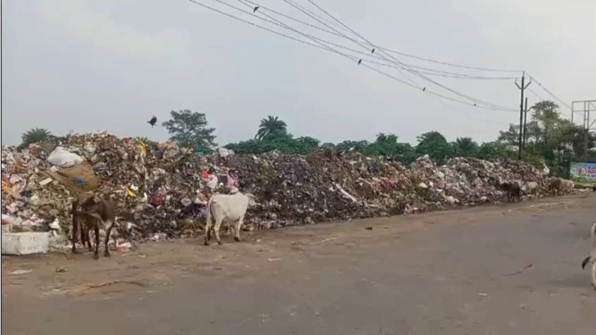DC के आदेश को दिखाया ठेंगा! चास में खुले में कचरा डंपिंग जारी, बदबू से लोग परेशान