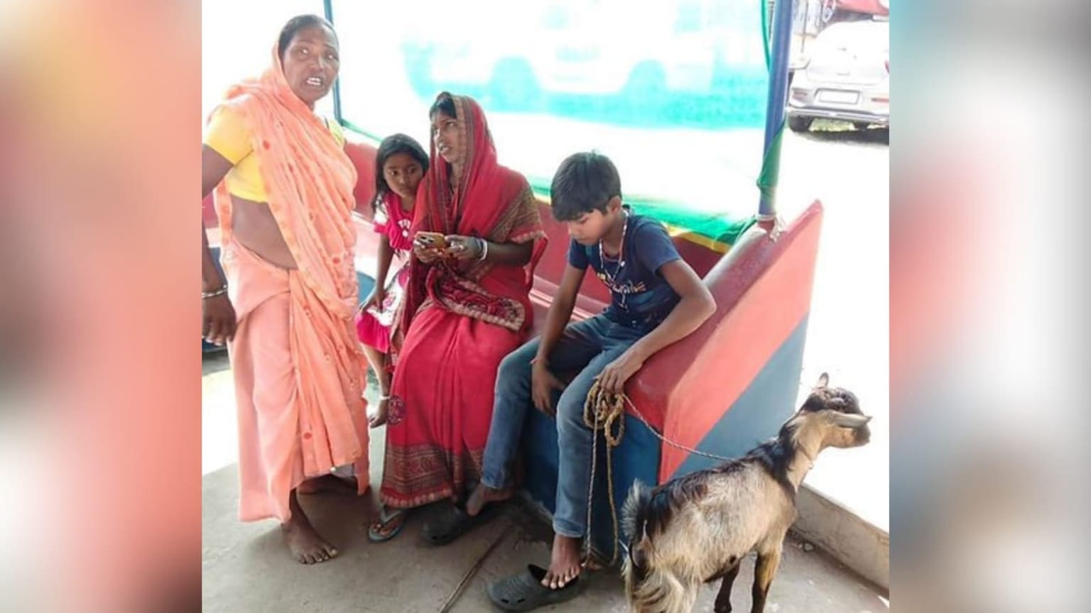 हंसडीहा में बकरों की ‘सींग जंग’ पहुंची थाना, प्रेमचंद होते तो लिखते ‘दो बकरों की कथा’!