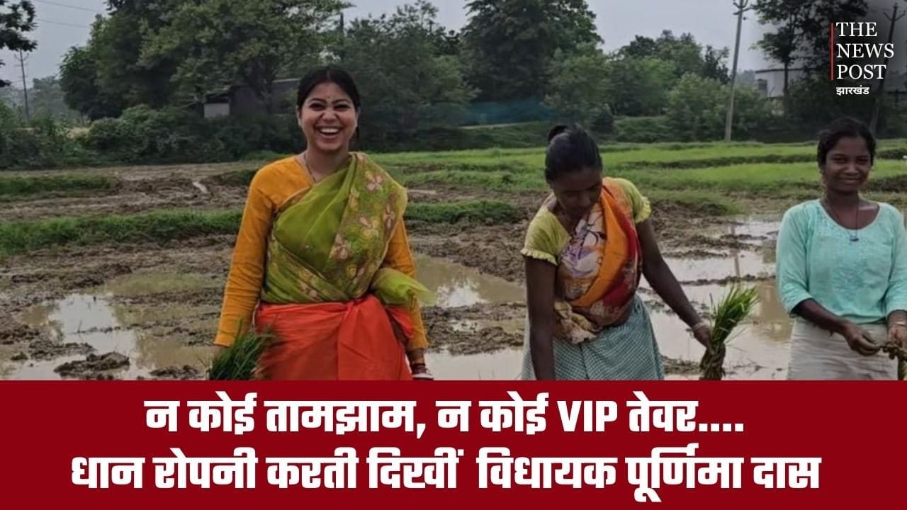 न कोई तामझाम, न कोई VIP तेवर... टोटो सवारी के बाद खेत में धान रोपनी करती दिखीं पूर्णिमा विधायक दास , देखिए 