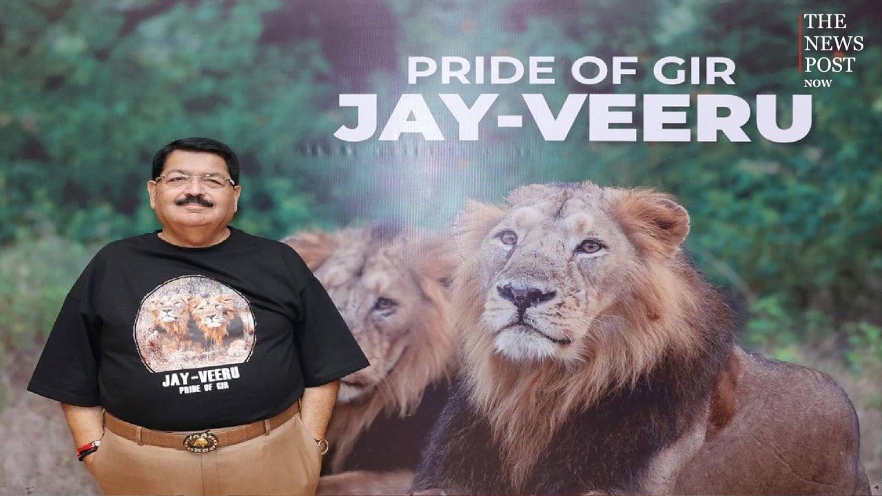 विश्व शेर दिवस पर परिमल नथवाणी ने जारी की ‘गिर की अमूल्य धरोहर’ दिखी एशियाई सिंहों की संरक्षण की कहानी