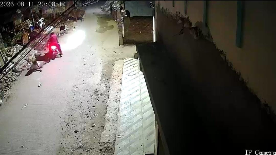 पटना में अपराधी बेखौफ, बीच सड़क युवक पर ताबड़तोड़ फायरिंग, देखिए घटना का Live Video 