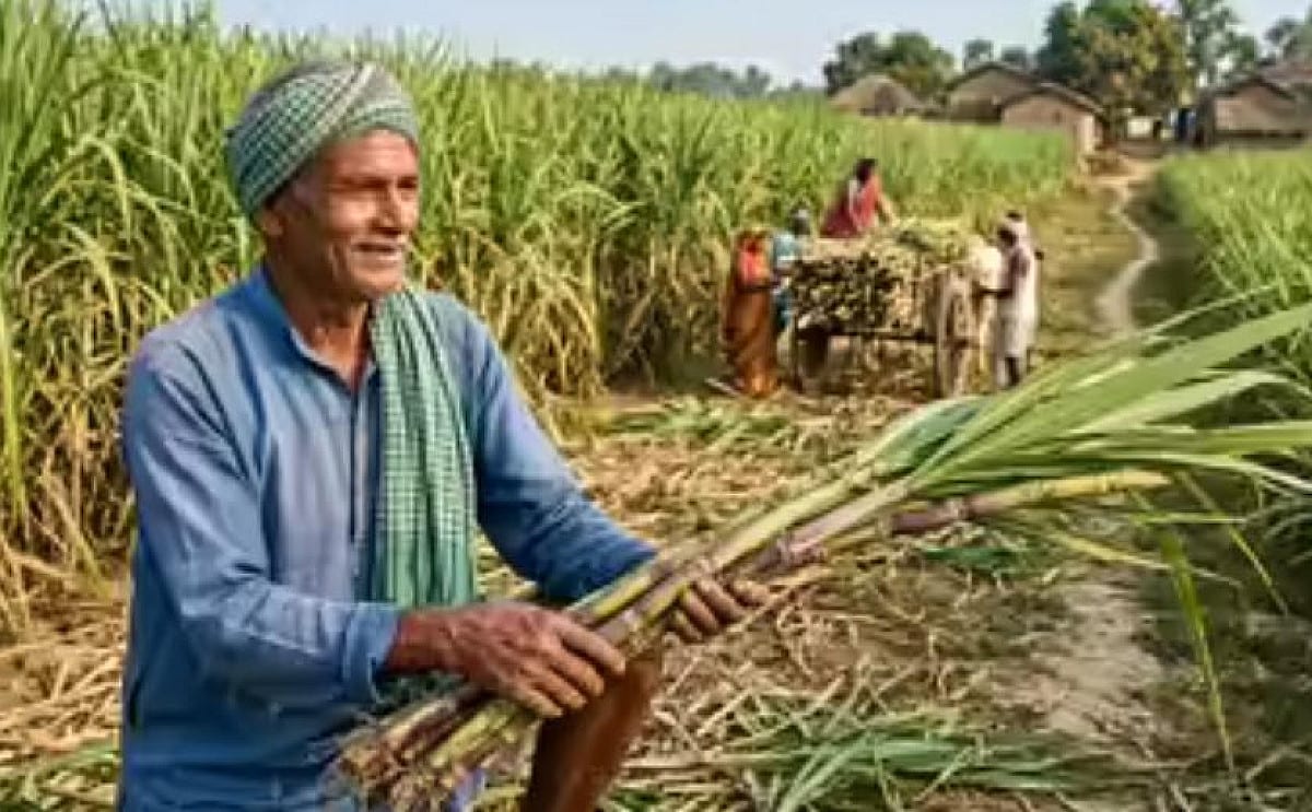 बिहार: गन्ना किसानों के लिए सरकार ने खोला खजाना, खाते में जल्द आएंगे बकाया पैसे