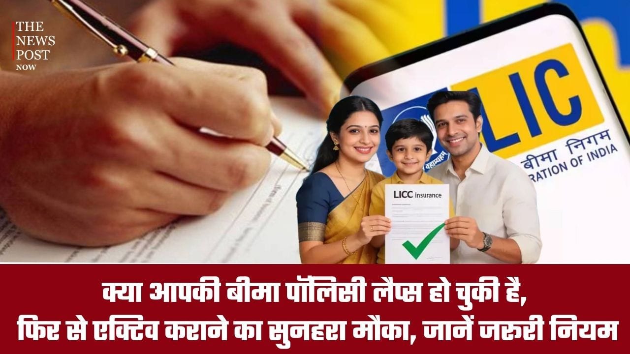 क्या आपकी बीमा पॉलिसी लैप्स हो चुकी है, तो फिर से एक्टिव कराने का है मौका, जानें जरूरी नियम