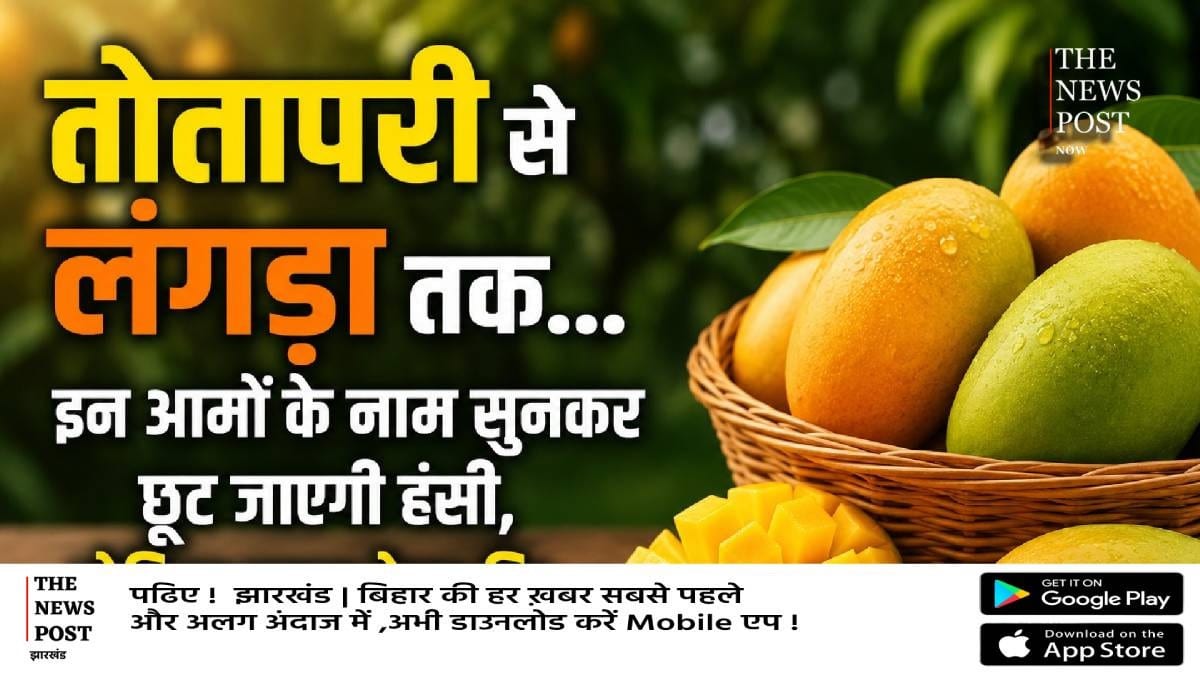 तोतापरी से लंगड़ा तक... इन आमों के नाम सुनकर छूट जाएगी हंसी, लेकिन स्वाद ऐसा कि बार-बार खरीदकर खाने का करेगा मन