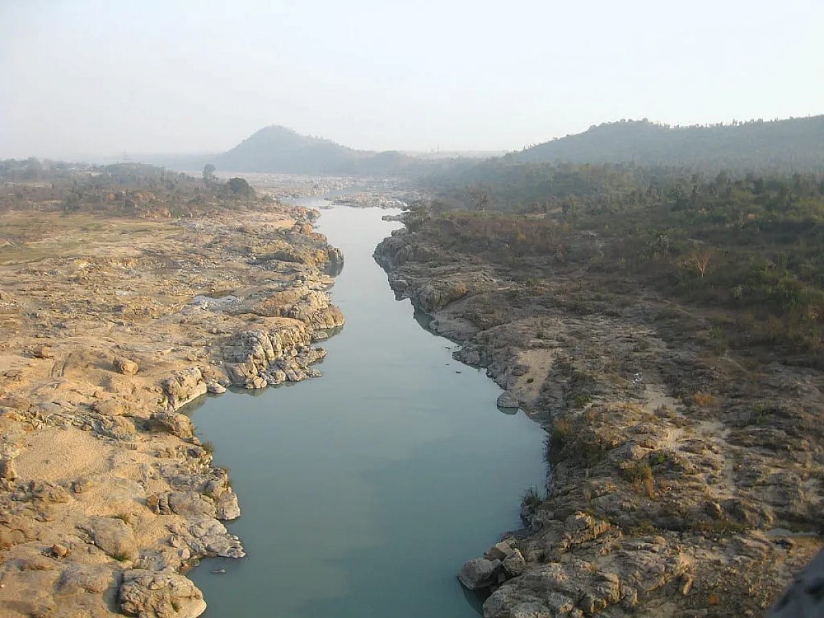 कहां है सरकार? बाढ़ की पहचान रही दामोदर आज जीवनदान की गुहार लगा रही