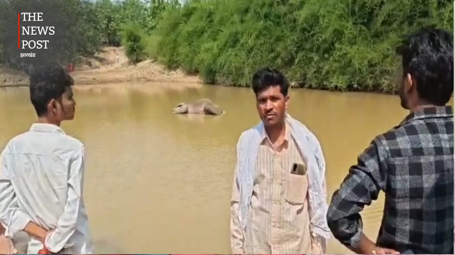गढ़वा के जंगल में मिला विशालकाय हाथी का शव, रहस्यमयी मौत से मचा शोर, वन विभाग अलर्ट