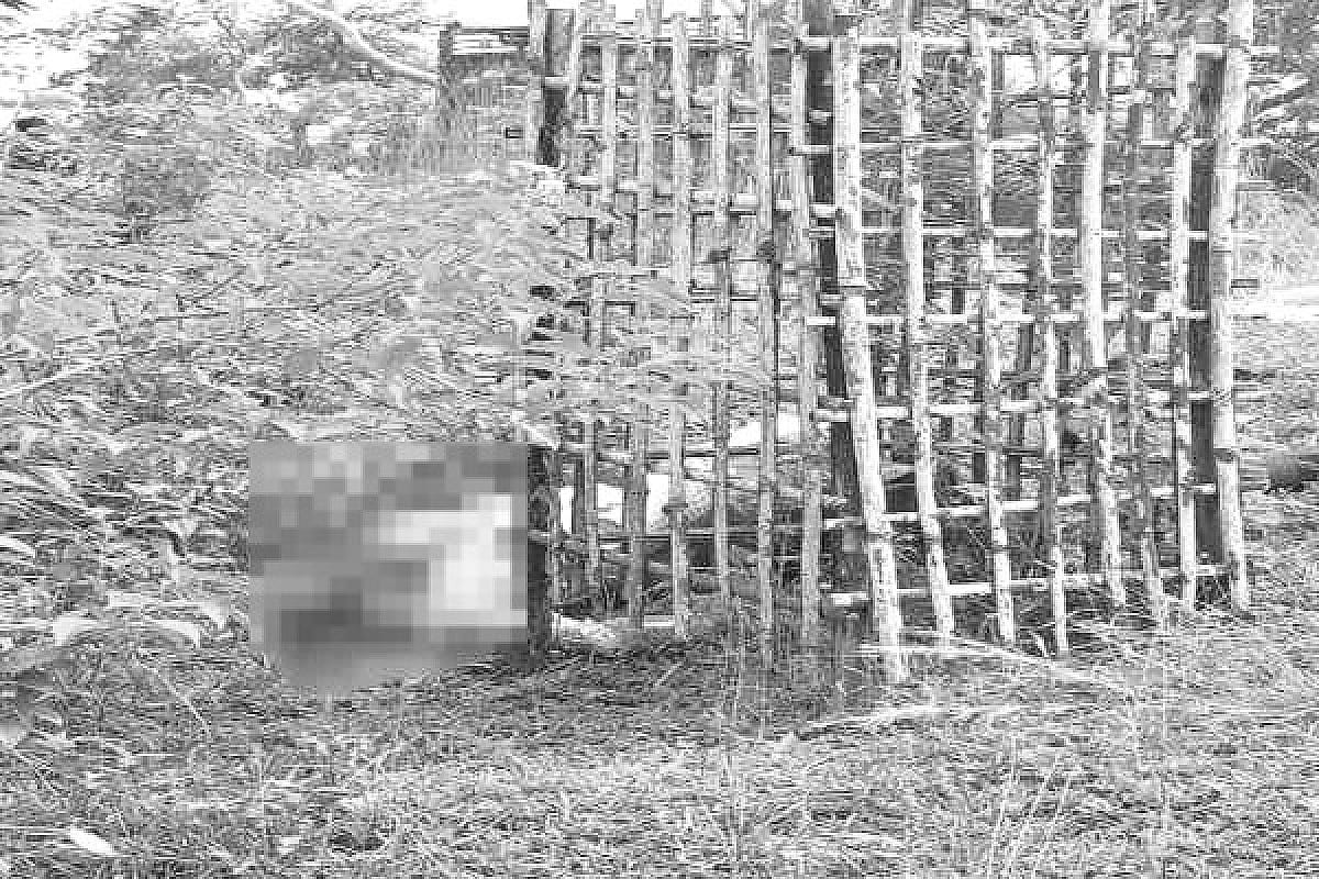 जामताड़ा में झाड़ियों से मिला अज्ञात व्यक्ति का शव, इलाके में फैली सनसनी