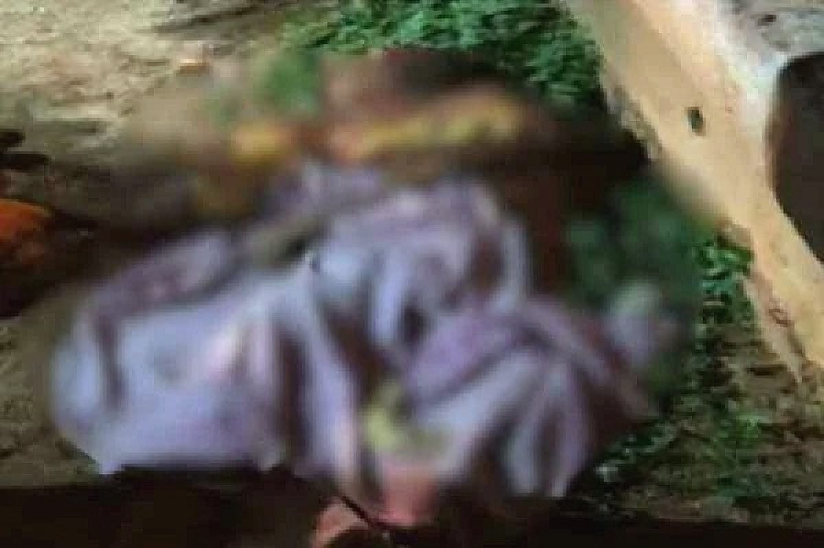 हजारीबाग में जंगली हाथियों का तांडव, ग्रामीण को कुचलकर मार डाला, गांव में दहशत