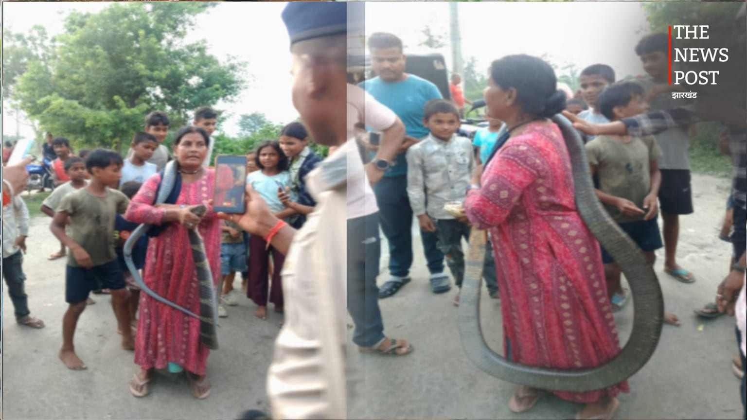 घर में घुसा 10 फीट लंबा कोबरा, महिला रेस्क्यूअर ने सुरक्षित पकड़कर जंगल में छोड़ा, जानिए कहां का है मामला